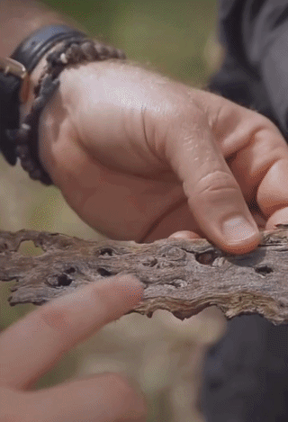 4.gif