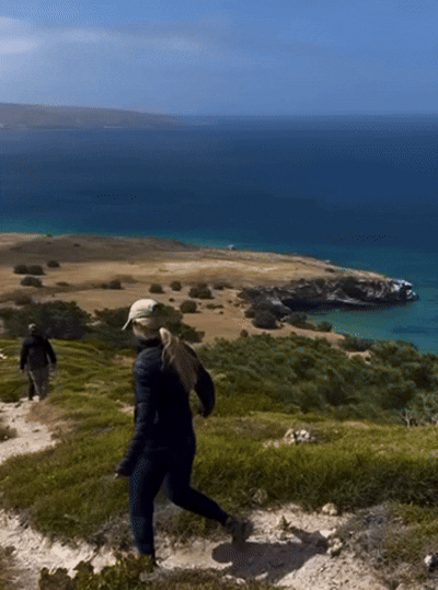 363A8BA6-22C7-417E-B5F2-EBF2E4CBED82.gif