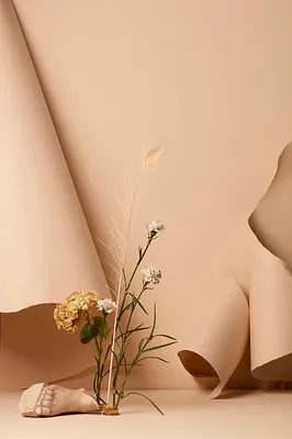 10fc0d6ab029028a9b86d14a93aabeb33f307545.webp