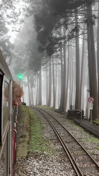 ezgif-28b8cfdf5ec6fd8e.gif