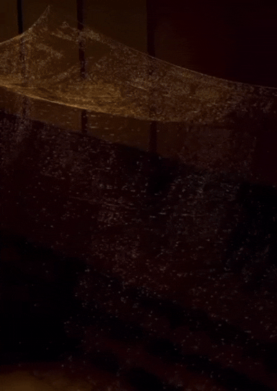 9FA6854A-3F75-49D6-932C-35226273D451.gif