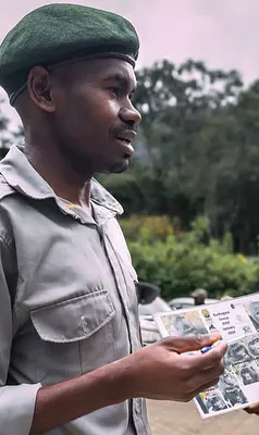 3.PNG