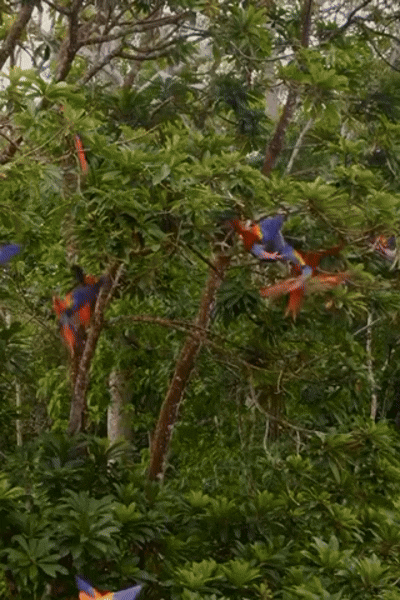 672B29F8-0FA7-4369-B7AC-365308470508.gif