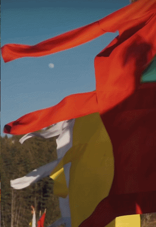 ezgif-6164b327ef230c47.gif