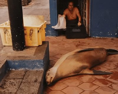 117788FA-F51E-4B2A-AE7F-AC909E8FC96E.gif