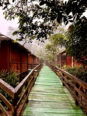 693C0A8C-F724-47BB-9ECD-AC18ACCE84E7.jpeg