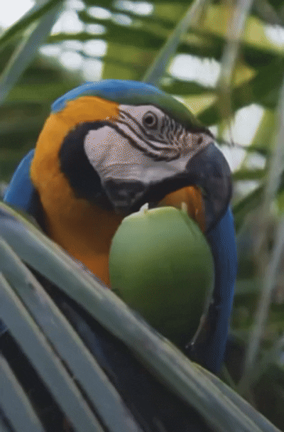 DA311630-4E70-47E7-9CA3-BD01396D7595.gif