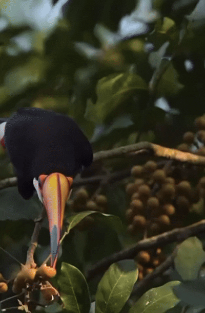 6A7A2115-E963-4692-856F-E396E9B4B750.gif