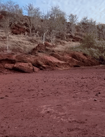 F6DA656C-3DF2-40F1-AAFC-C12FD8463E81.gif