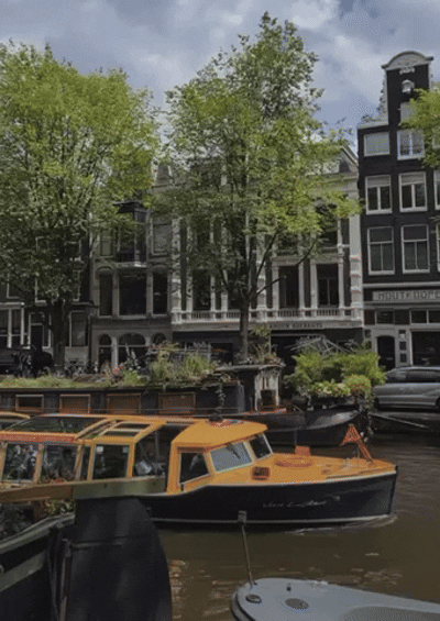 2847C424-7DC6-48FE-887B-CB7E9F107295.gif