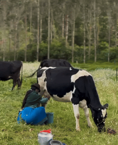 6B733111-8CDD-4170-9366-6E392B88CFBF.gif