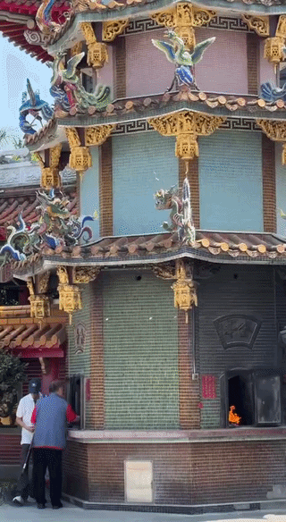 ezgif-1378b2df36a12bc2.gif
