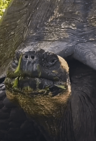 7EF75FF2-410E-417B-81FF-3DD93AC08115.gif