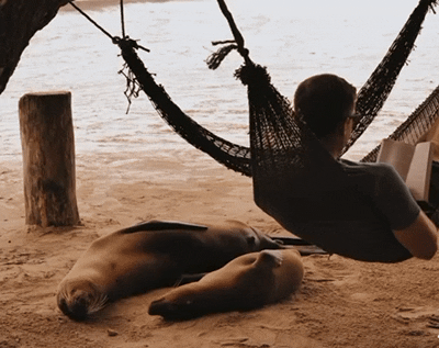 DD70ACBD-CD46-485E-AAB8-86D137EABCE9.gif