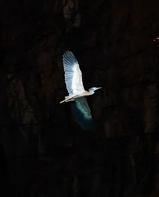 2.PNG