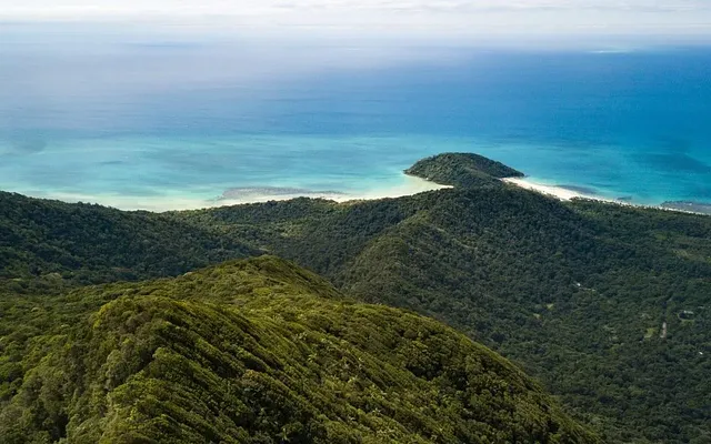 MOUNT-SORROW-HIKE-CAPE-TRIBULATION-0981-e1626582888355.webp