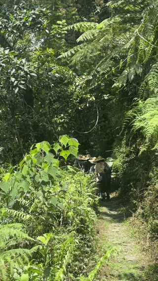 4.gif