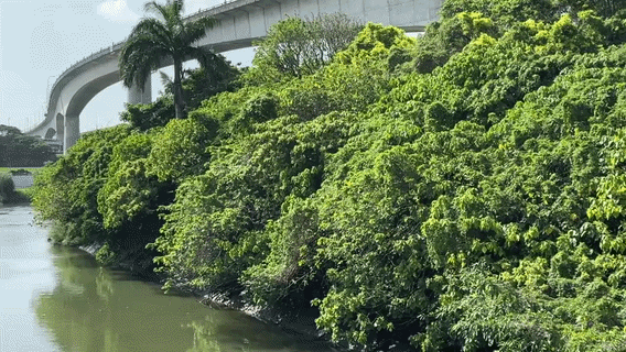 3.gif